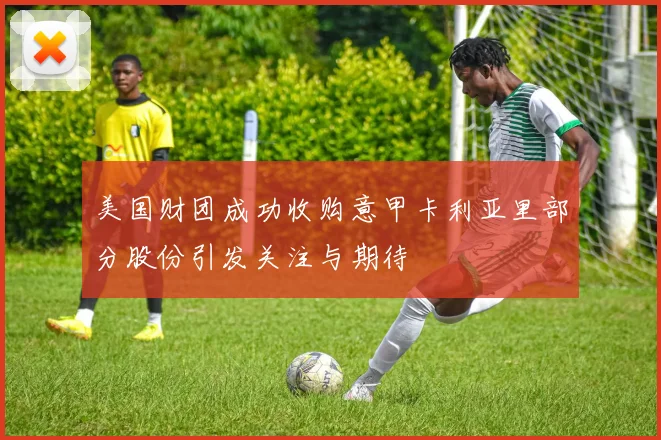 美国财团成功收购意甲卡利亚里部分股份引发关注与期待